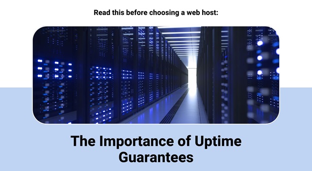 The Importance of Uptime Guarantees in Web Hosting