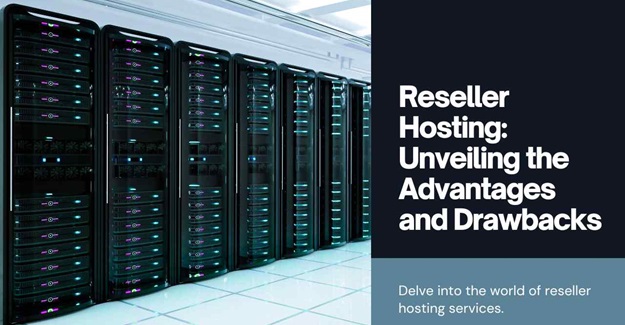 Exploring the World of Reseller Hosting: Pros and Cons